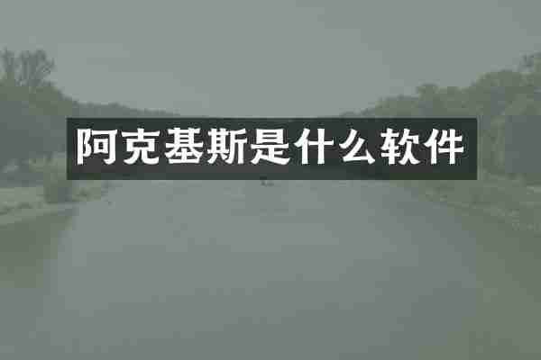 阿克基斯是什么软件