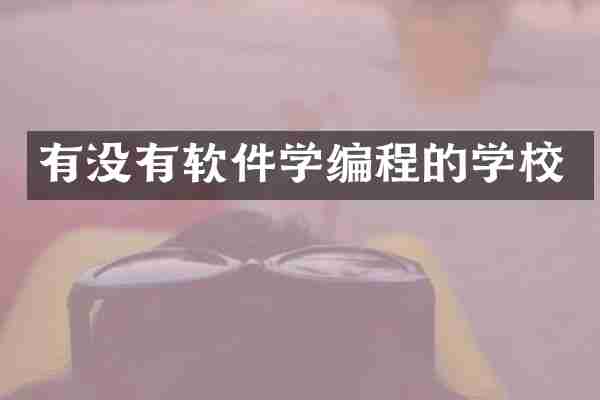 有没有软件学编程的学校