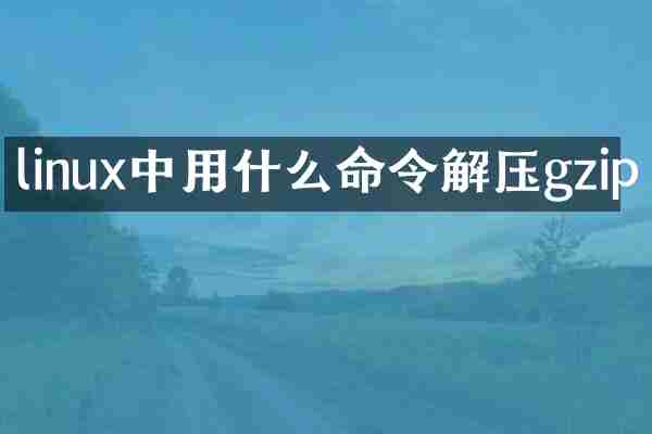 linux中用什么命令解压gzip