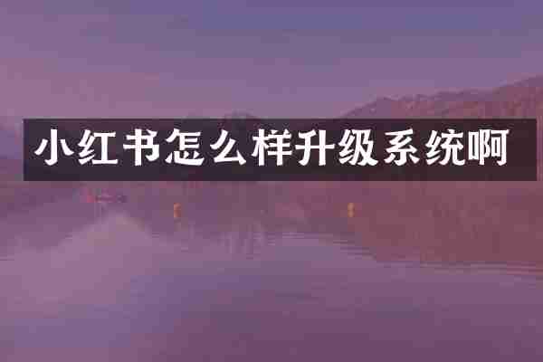 小红书怎么样升级系统啊