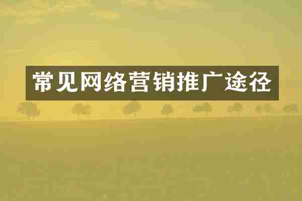 常见网络营销推广途径