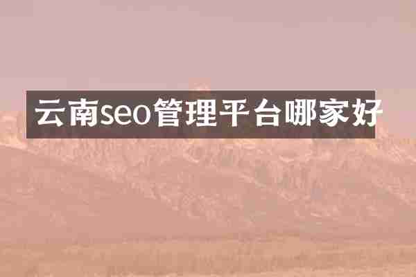云南seo管理平台哪家好