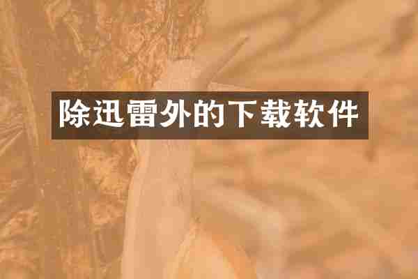 除迅雷外的下载软件