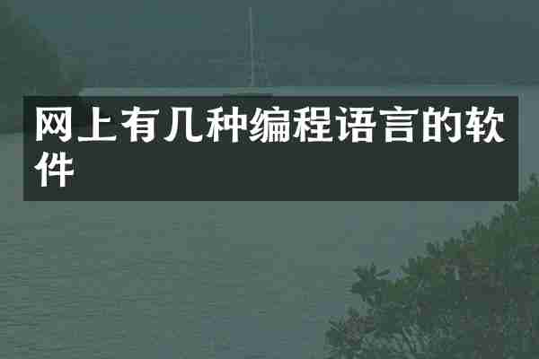 网上有几种编程语言的软件