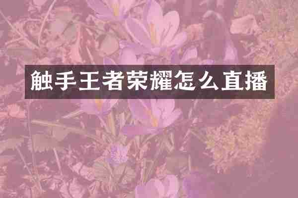 触手王者荣耀怎么直播
