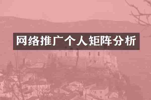 网络推广个人矩阵分析