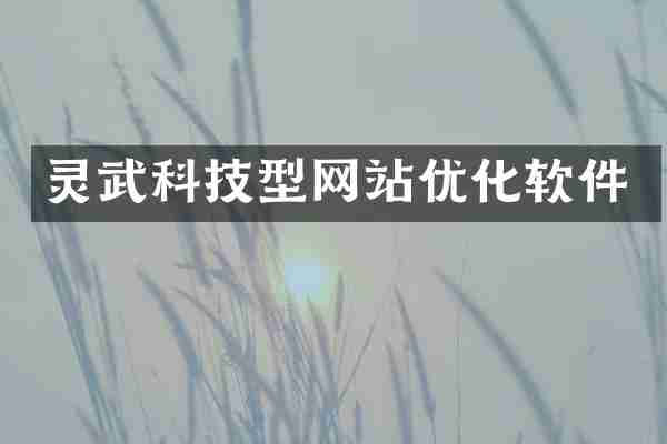 灵武科技型网站优化软件
