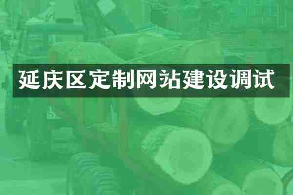 延庆区定制网站建设调试
