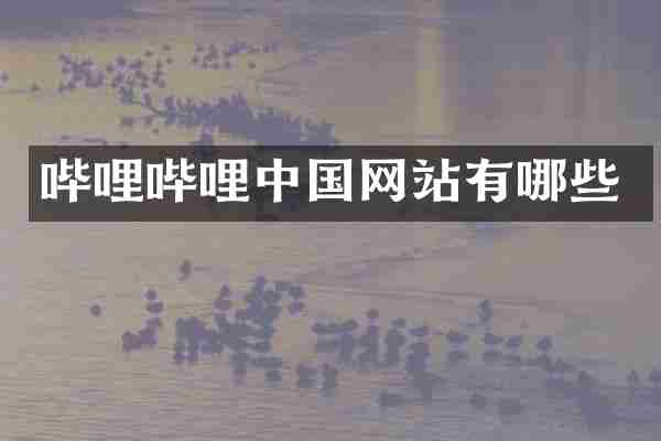 哔哩哔哩中国网站有哪些