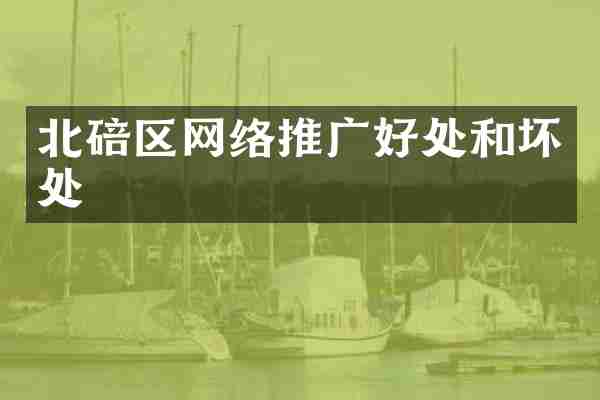 北碚区网络推广好处和坏处