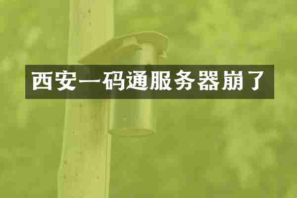 西安一码通服务器崩了