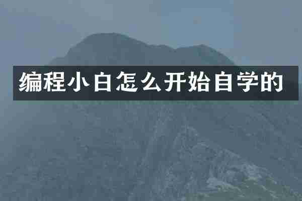 编程小白怎么开始自学的