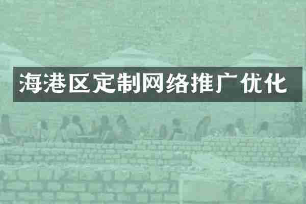 海港区定制网络推广优化
