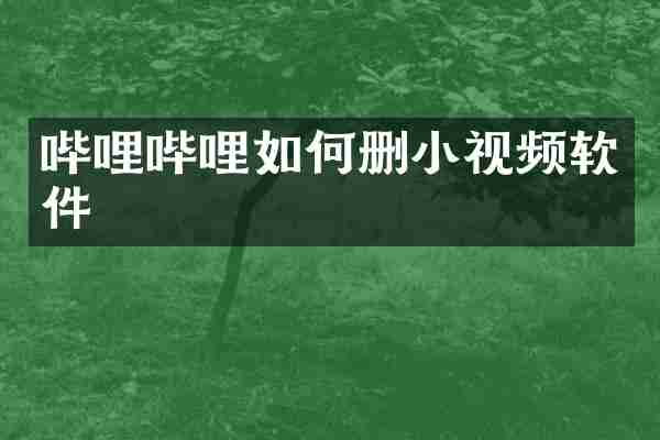 哔哩哔哩如何删小视频软件