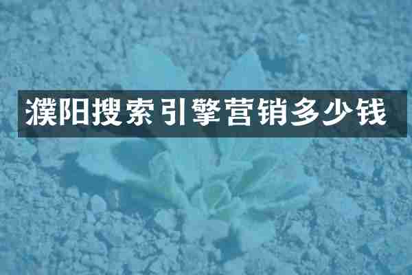 濮阳搜索引擎营销多少钱