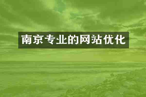 南京专业的网站优化