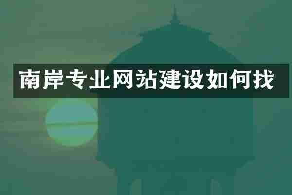 南岸专业网站建设如何找