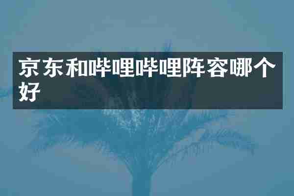 京东和哔哩哔哩阵容哪个好
