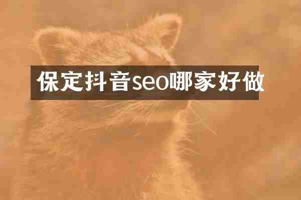保定抖音seo哪家好做