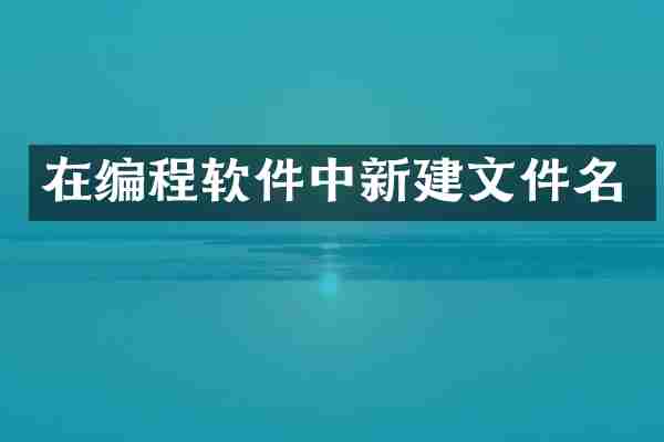 在编程软件中新建文件名