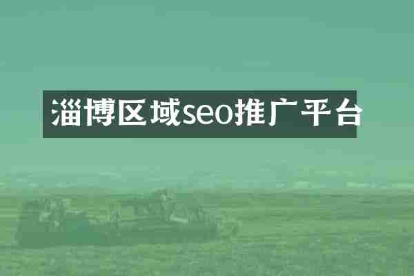淄博区域seo推广平台