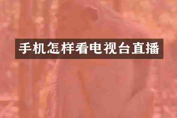 手机怎样看电视台直播