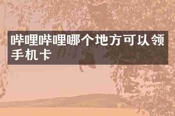 哔哩哔哩哪个地方可以领手机卡