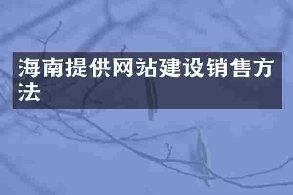 海南提供网站建设销售方法