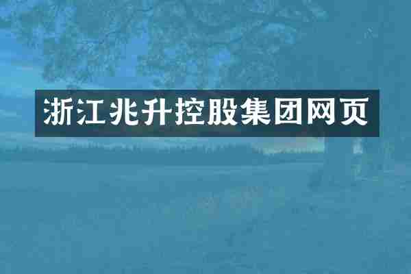 浙江兆升控股集团网页