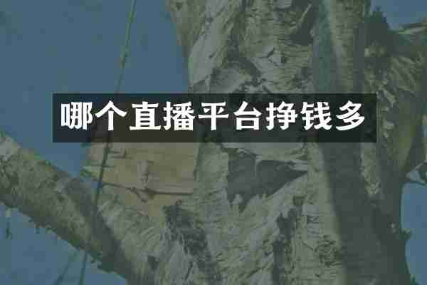 哪个直播平台挣钱多