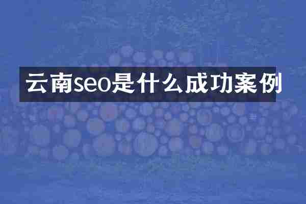 云南seo是什么成功案例