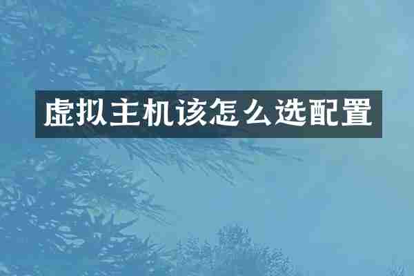 虚拟主机该怎么选配置