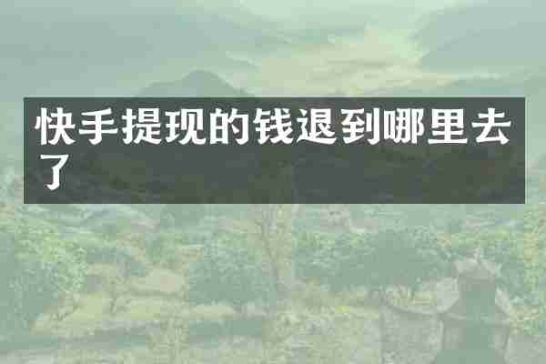 快手提现的钱退到哪里去了