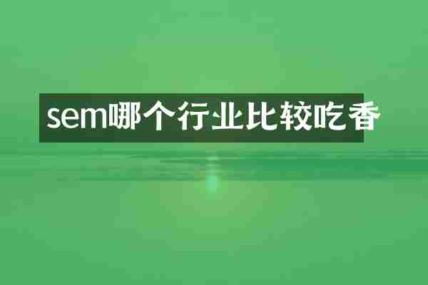 sem哪个行业比较吃香