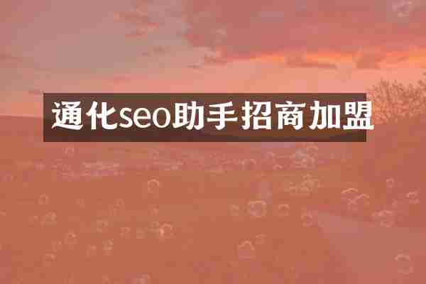通化seo助手招商加盟