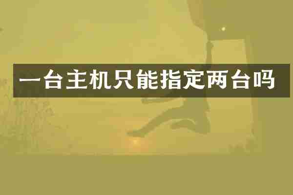 一台主机只能指定两台吗