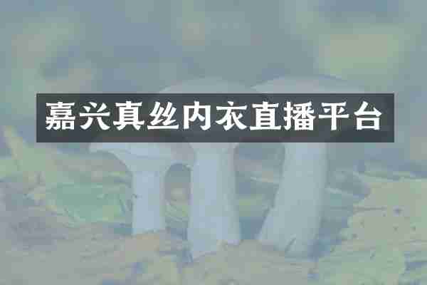 嘉兴真丝内衣直播平台