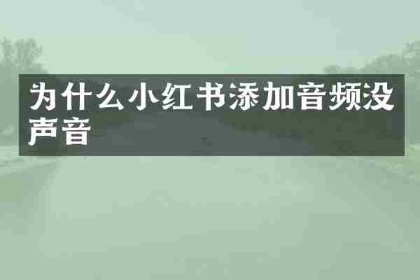 为什么小红书添加音频没声音