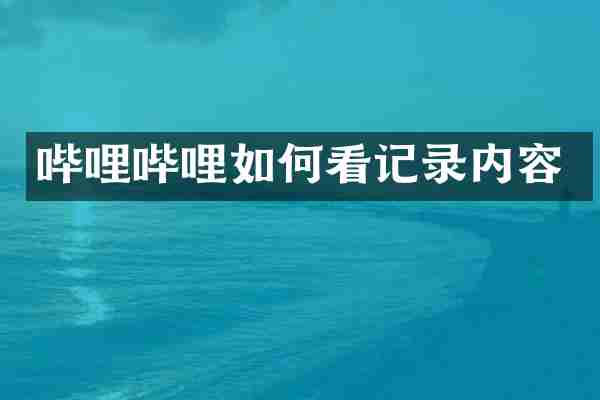 哔哩哔哩如何看记录内容