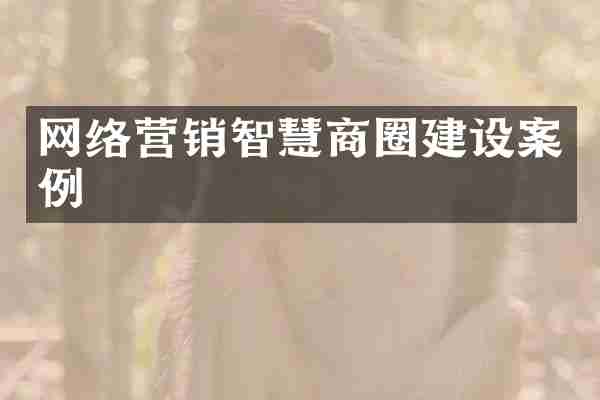 网络营销智慧商圈建设案例