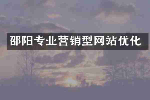 邵阳专业营销型网站优化