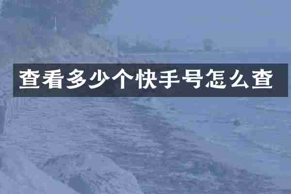 查看多少个快手号怎么查