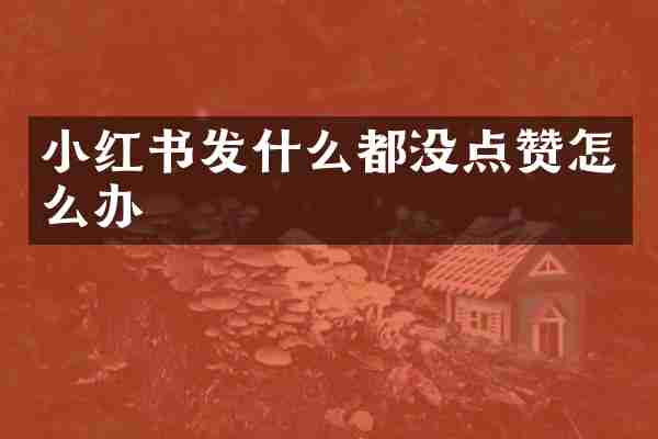 小红书发什么都没点赞怎么办