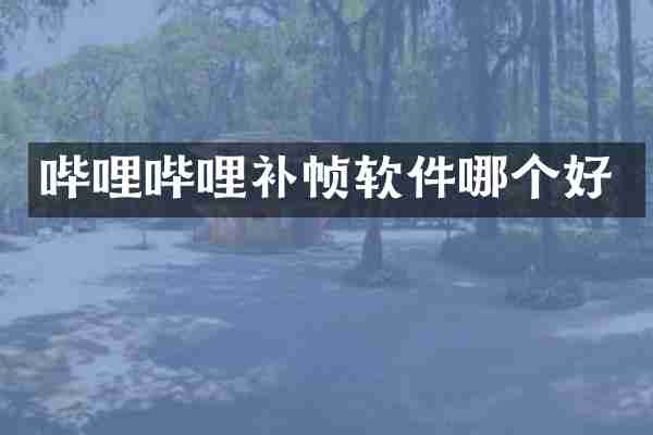 哔哩哔哩补帧软件哪个好