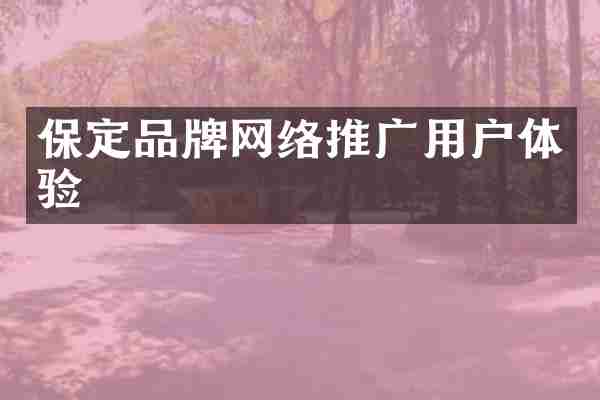 保定品牌网络推广用户体验