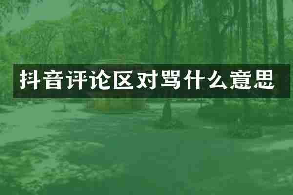抖音评论区对骂什么意思