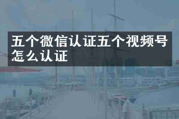 五个微信认证五个视频号怎么认证