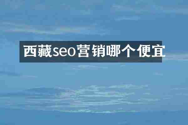 西藏seo营销哪个便宜