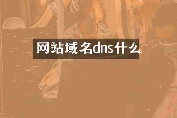 网站域名dns什么