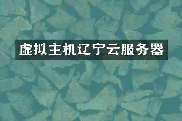 虚拟主机辽宁云服务器
